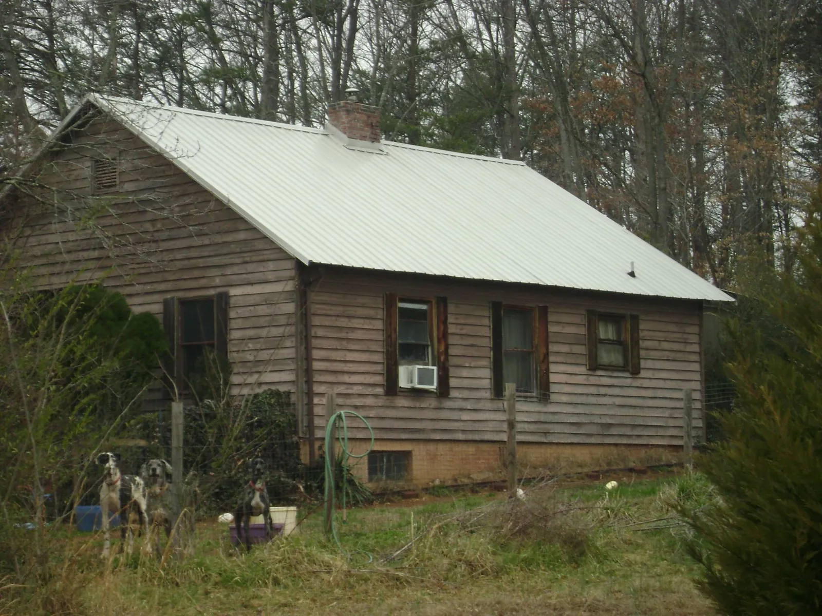 White metal roof on an old wood sided farmhouse, from a Asphalt Shingle Roof Repair job in Idanha
